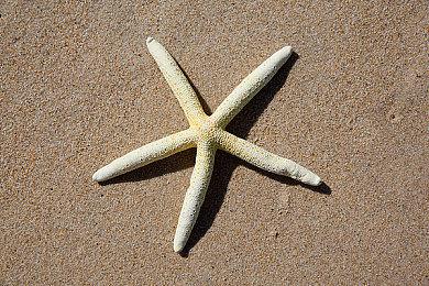 英国销量月榜：《荒野大镖客1》重回排行前五